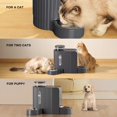 thumbnail image 6 of Nomipaw Gravity Automatic Food Feeder and Water Dispenser, 0.8Gal Large Capacity, 2 in 1 Set, 304 Stainless Steel Bowl, Removable and washable, For All Size Dogs & Cats, Dark Gray, 6 of 8