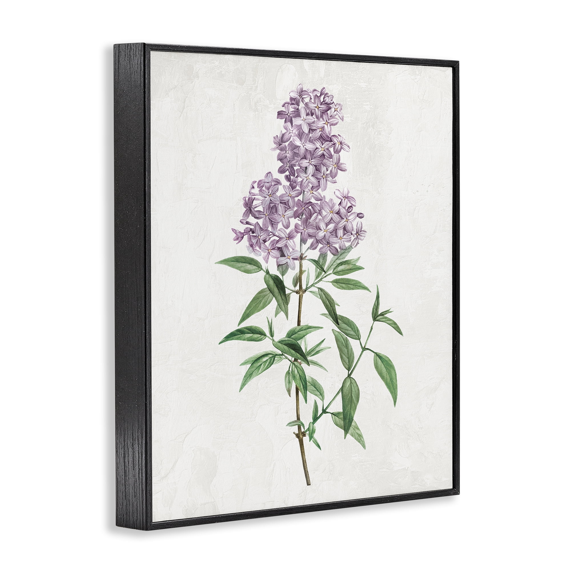 Stupell Industries Lilac Blossoms Blooms Black Framed Giclee Art, design by Kim Allen