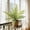 green, variant on Dvkptbk fake plant Artificial Green Plants for Indoor and Outdoor Decoration Green Wall Decoration