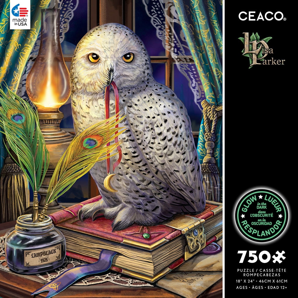 Ceaco 750 Piece Deluxe Mixed Interlocking Jigsaw Puzzle Store Assortment Puzzle and Image Will Vary