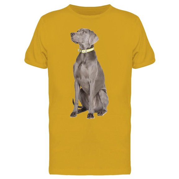 Sitting Weimaraner Looking Up Tee Men's -Image by Shutterstock