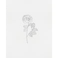thumbnail image 2 of Straatsma, Leah 26x32 Gold Ornate Wood Framed with Double Matting Museum Art Print Titled - Black Rose 4, 2 of 4