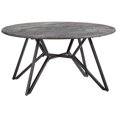 thumbnail image 1 of Progressive Furniture T251-01 Table Basse de Salon, Métal Noir & Paladina, 1 of 1