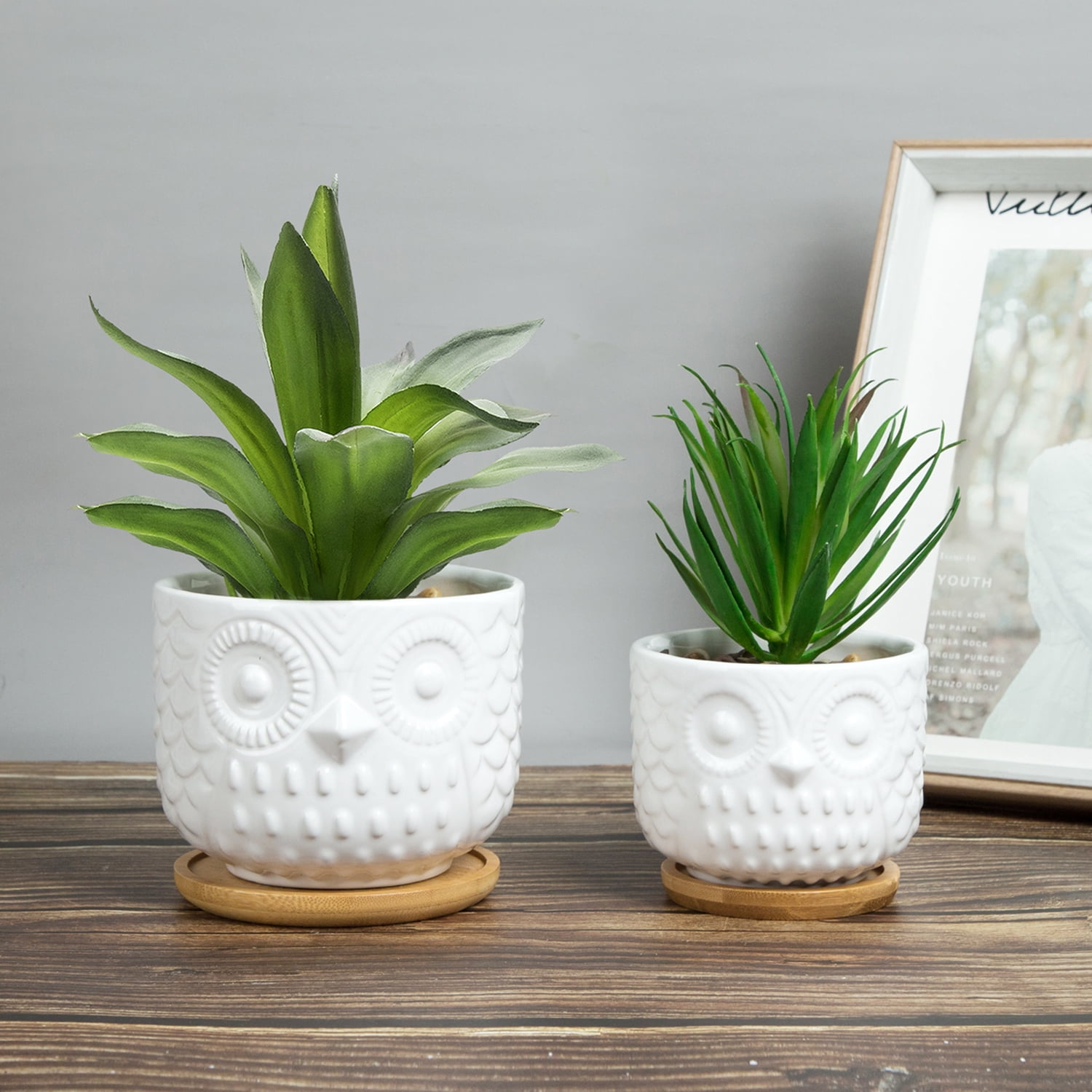 K-Cliffs Owl Succulent Planter, Animal  Pots with Drainage Hole and Bamboo Saucer, Set of 2, Color; White