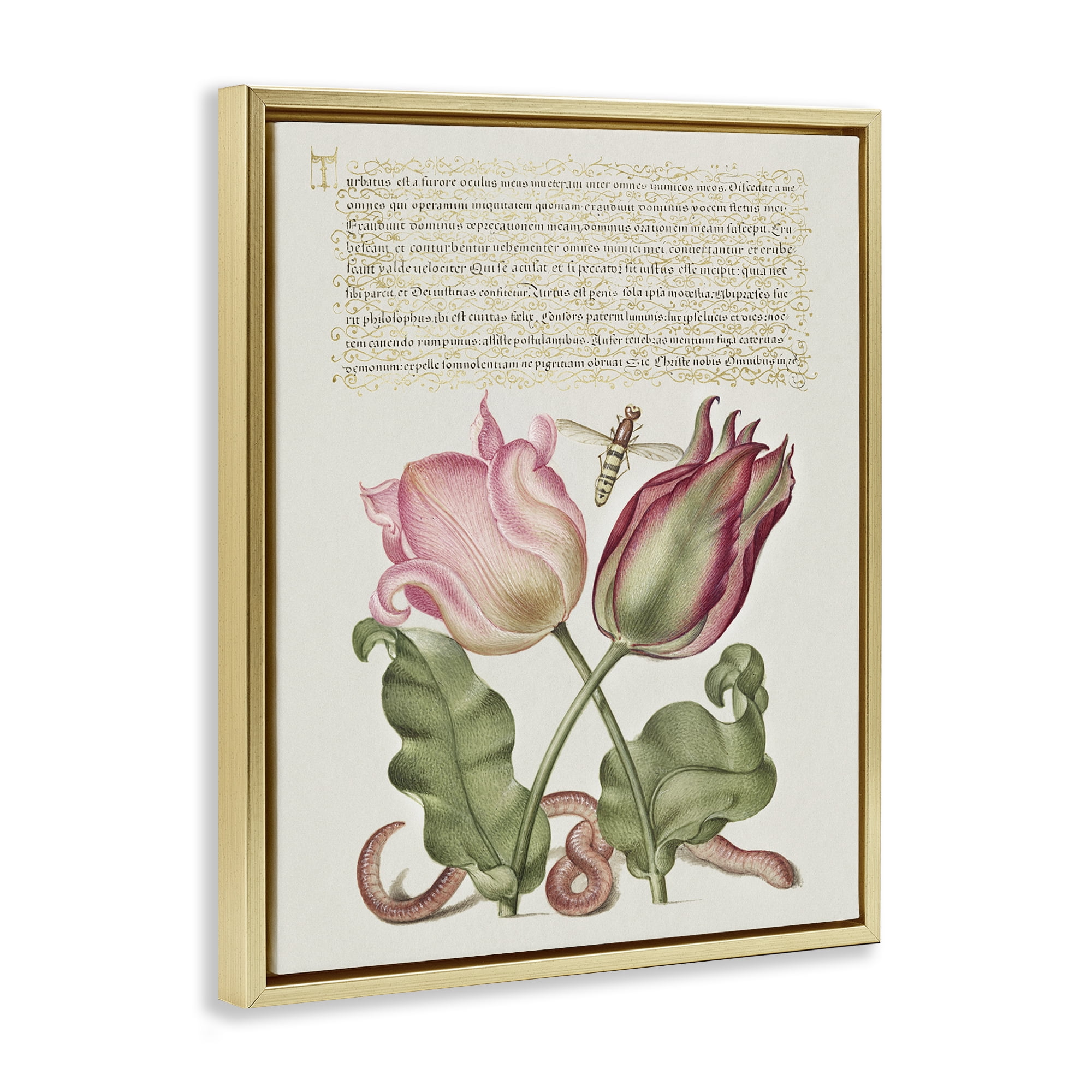 Stupell Industries Tulips & Insects Antique Text & Numbers Painting Gold Floater Framed Canvas Art Print Wall Art, 17 x 21