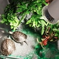 thumbnail image 4 of Flmtop Universal Ceramic Emitter Heat Light Bulb Lamp for Reptile Turtle Pet Warming, 4 of 8