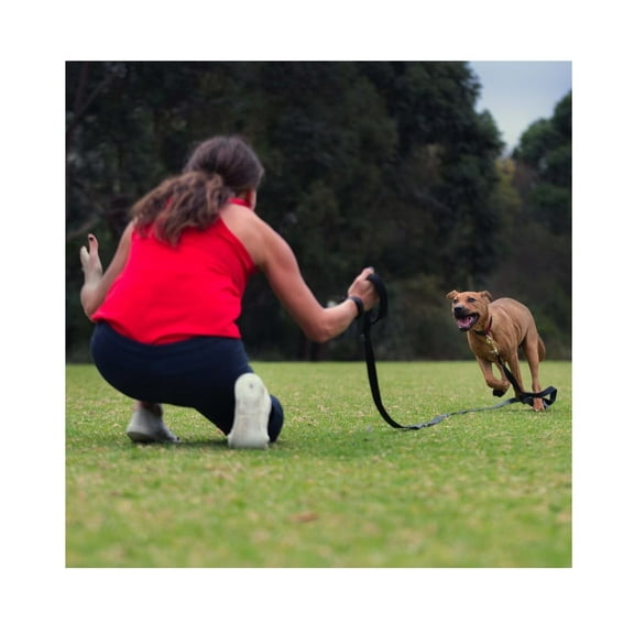 Poly Cotton Web Dog Training Leads 5/8" Wide Red or Black Choose from 4 Lengths (Black - 15 feet)
