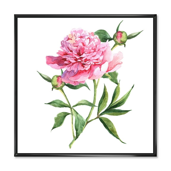 Designart 'Ancient Pink Peonies' Traditional Framed Canvas Wall Art Print