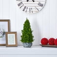 thumbnail image 3 of Nearly Natural 18in. Cypress Cone Artificial Tree in Decorative Planter, 3 of 3