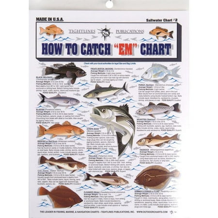 UPC 738875000046 product image for Tightline Publications How To Catch 'em Saltwater Chart | upcitemdb.com