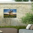 thumbnail image 4 of Chris Moyer 'Tree Shadows' Outdoor Canvas 30x47, 4 of 5