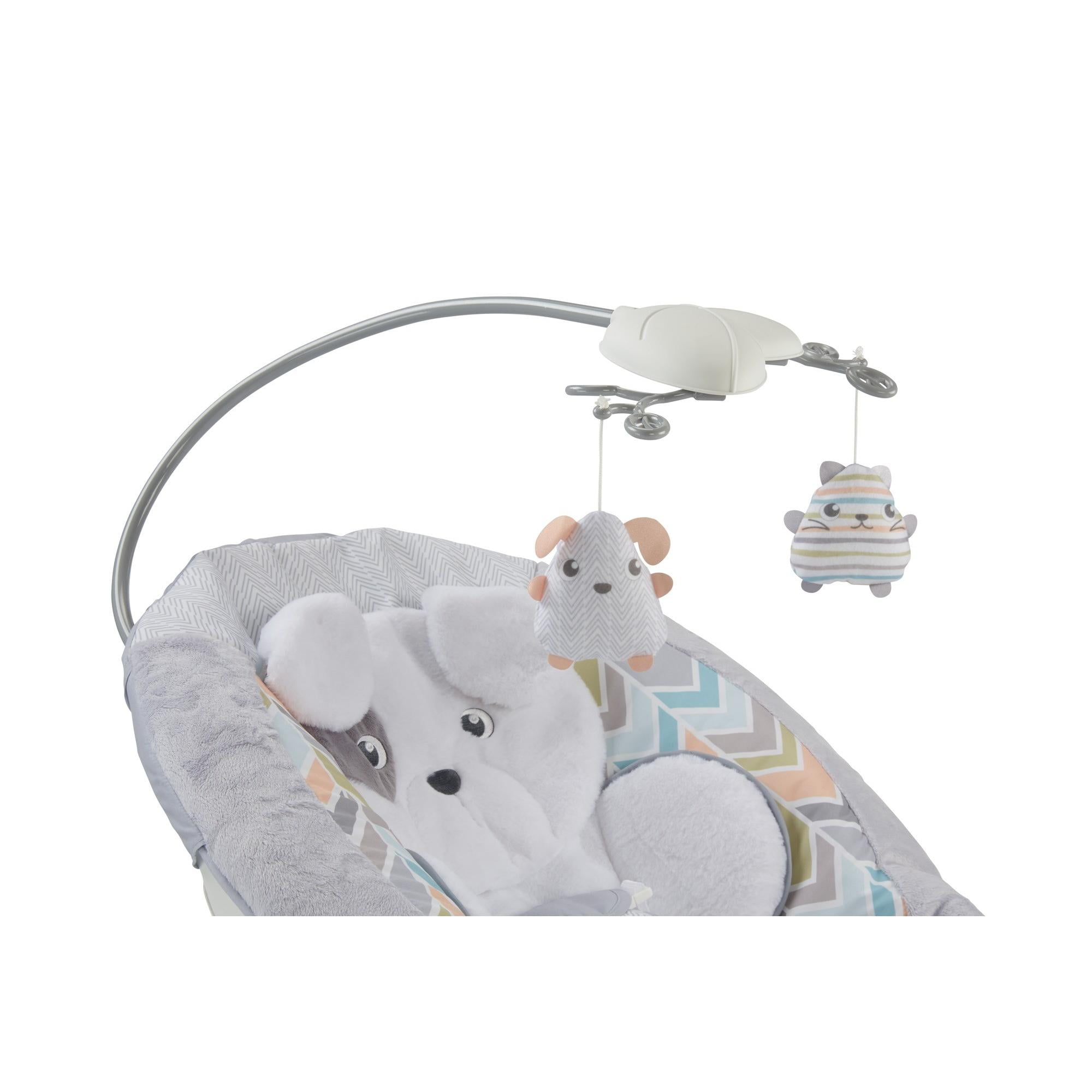 snuggle puppy bouncer