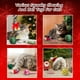 thumbnail image 4 of Juego de juguetes navideños para gatos Yeghujar, 12 piezas, juguetes interactivos, 4 of 7