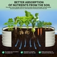 thumbnail image 4 of Huisuilinss Galvanized Raised Garden Bed,Oval Garden Boxes Outdoor,Metal Planter Box,Open-Ended Base Raised Planter Beds For Vegetables Flower Herb,2PCS, 4 of 5