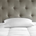 thumbnail image 3 of DOWNLITE Hotel & Resort 50-50 Down & Feather Blend Pillow, 3 of 5