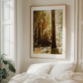 thumbnail image 6 of Redwood Forest - Mill Valley California Photography Forest Nature Woodland Wilderness Scenic Autumn Mystical Unframed Wall Art Print 36 x 48 inches, 6 of 13