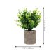 thumbnail image 2 of Artificial Green Plant Bonsai for Decoration 1Pcs Plastic Material, 2 of 4