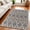 Assorted, variant on 5' X 8' Tan and Gray Geometric Hand Woven Area Rug