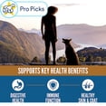 thumbnail image 2 of Orijen High Protein, Amazing Grains Original Dry Dog Food 30 lbs., 2 of 2