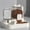 Off-White, variant on Cat Water and Food Dispenser, Self Feeding Cat Food Dispenser, 9X15 in Transparent, Cat Feeding Station, Dual Bowls, off-White, 1 Pc