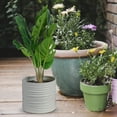 thumbnail image 4 of BESTYASH 1Ud Planta Artificial Para De Bodas, Banquetes Y Ambientes Interiores, 4 of 6