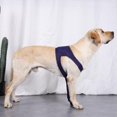 thumbnail image 4 of Dog Clothes Restore Cuff Sleeve For Pet Dog With Protective Foreleg Anti-licking Sleeve, 4 of 8