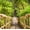 Jungle Adventure Rope Bridge, variant on Elephant Stock Jungle Adventure Rope Bridge Wall Art - Horizontal Canvas Wall Art - Living Room Wall Decor - Architecture Canvas - Green And Brown Decor - 12" x 8"