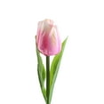 thumbnail image 6 of Outdoor 1 LED Yard Lamp for Garden Decor, Energy-Saving & Solar-Powered Solar Tulip Flower Light, 6 of 8