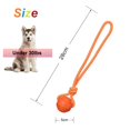 thumbnail image 2 of Pelota de entrenamiento para perros Vitalili Rubber con cuerda para perros pequeños, 2 of 5