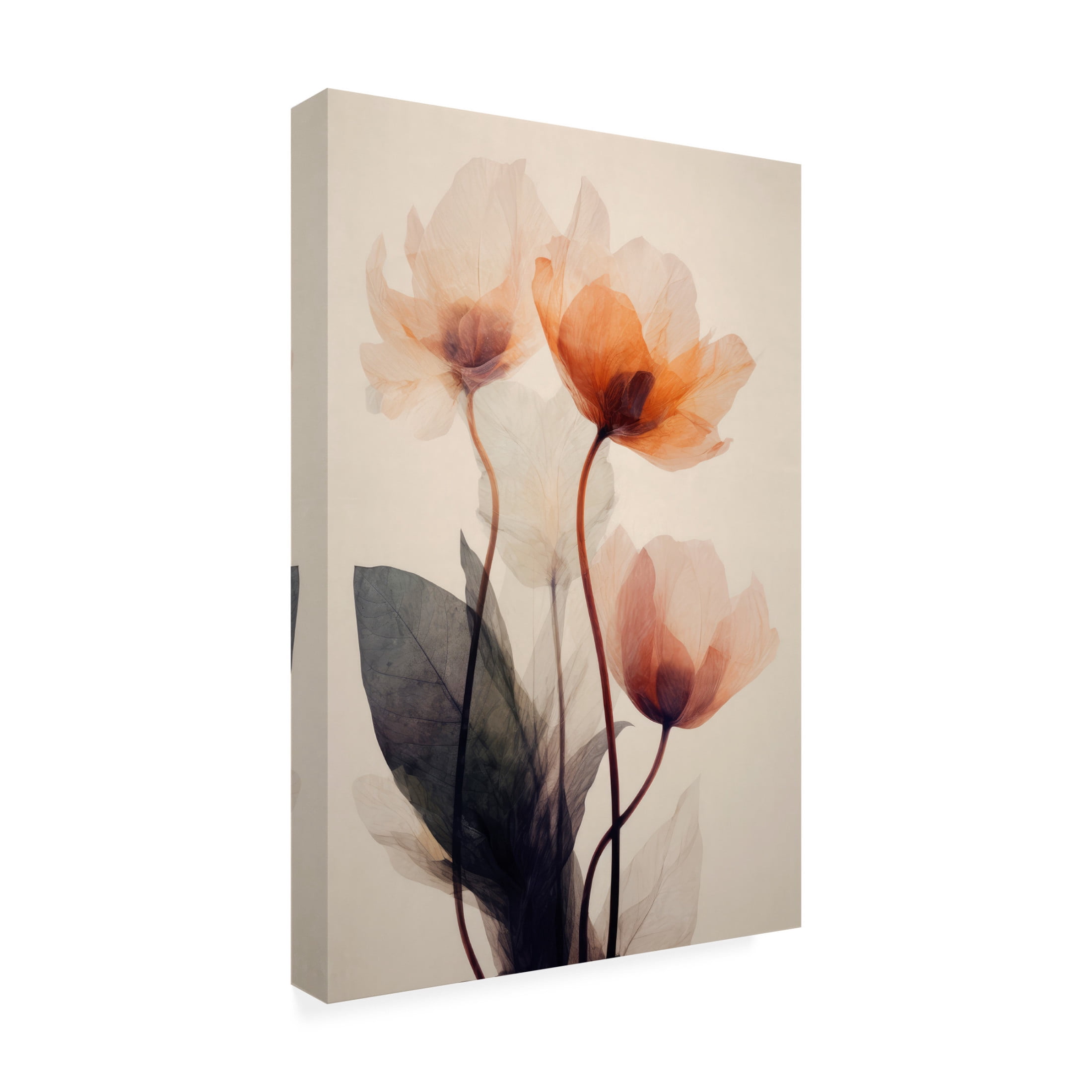 Canvas Wall Art - Treechild 'Parchmentflowersno7' Wall Art for Living Room, Bedroom, or Office Décor by Trademark Fine Art - 22 x 32 Inches