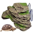 thumbnail image 1 of Ramp Kathson Turtle - Plataforma para tomar el sol (18 x 16 x 7 cm), color verde, 1 of 6