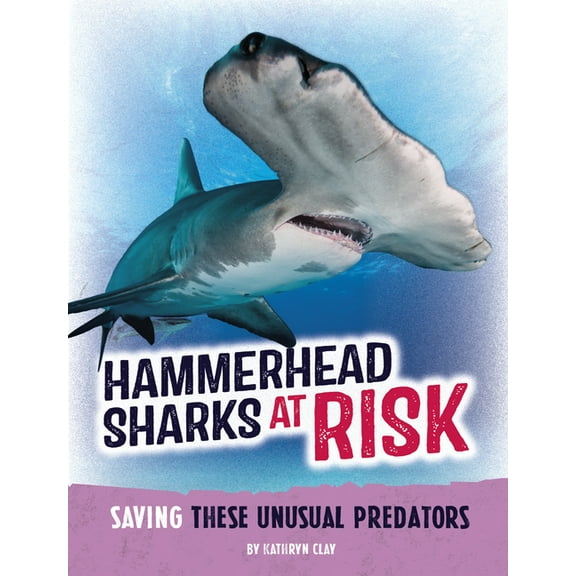 Animals at Risk Hammerhead Sharks at Risk: Saving These Unusual Predators, (Paperback)