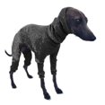 thumbnail image 1 of Pet Clothes Dog Greyhound Jumper Sweater Winter Protective Apparel Fiis, 1 of 2