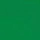 thumbnail image 4 of Playera Blusa El Cotorro De La Loteria Mexicana Tradicion Mexicana Color Verde Talla Grande Marca Emil SaEs, 4 of 4