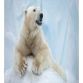 thumbnail image 3 of Ambesonne Zoo Duvet Cover Sets, White Polar Bear on Ice, 2-King, Pale Blue Cream White, 3 of 7