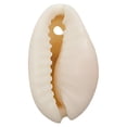 thumbnail image 1 of Ounissouiy 50 piezas de colgantes de moda, accesorios de joyería versátiles para manualidades DIY, fabricación de joyas Diy, accesorios, Artesanía caparazón 1, 1 of 6