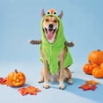 thumbnail image 2 of Vibrant Life Halloween Monster Costume for Dogs, Multicolor, Large, 2 of 9