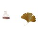 thumbnail image 1 of Elegante Portacorchos Multiusos Para Vino Y Decoración De Pared De Hierro Forjado Con Hojas De Ginkgo. Jarrón De Exhibición Moderno Y Práctico. Regalo único. Escultura Abstracta Para, 1 of 8