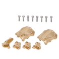 thumbnail image 1 of RC Crawler Upgrade Parts, Car Model Accessories Trx4 Brass Bridge Cover Wear  Easy To Install  for Trx4 Full Range Of Models, 1 of 8
