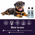 thumbnail image 3 of Frankie on the Beach The Dynamic Duo Shampoo Plus Conditioner Bundle 2x12oz bottles  Made in the USA, 3 of 5