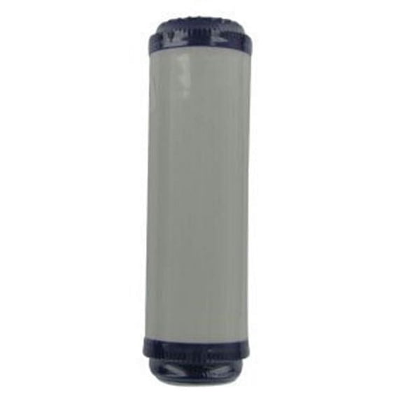 CFS Costguard Ev9108-11 Cgt-10 Compatible Granular Carbon Filter Chlorine Taste