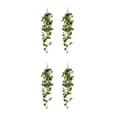 thumbnail image 2 of Yuarrent 2 plantas artificiales para colgar en la pared, elegantes hojas anchas de bajo mantenimiento para colgar en ratán. Type2 NO2, 2 of 6