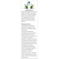 thumbnail image 2 of Aloe Cadabra Organic Lubricant- Pina Colada Flavored (Pack of 4), 2 of 4