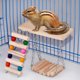 thumbnail image 1 of Escalera para pájaros, 3 piezas de madera, loro, ardilla, pájaro, juguete de pie, juguete de pie, diseño de última generación, 1 of 8