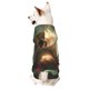 thumbnail image 1 of Balery Cute Kitten Water Lilies Sudadera con Capucha para Perros Pequeños – Ropa para Mascotas, Disfraz para Perros y Gatos, Ideal para Fiestas y Cosplay-Medium, 1 of 7