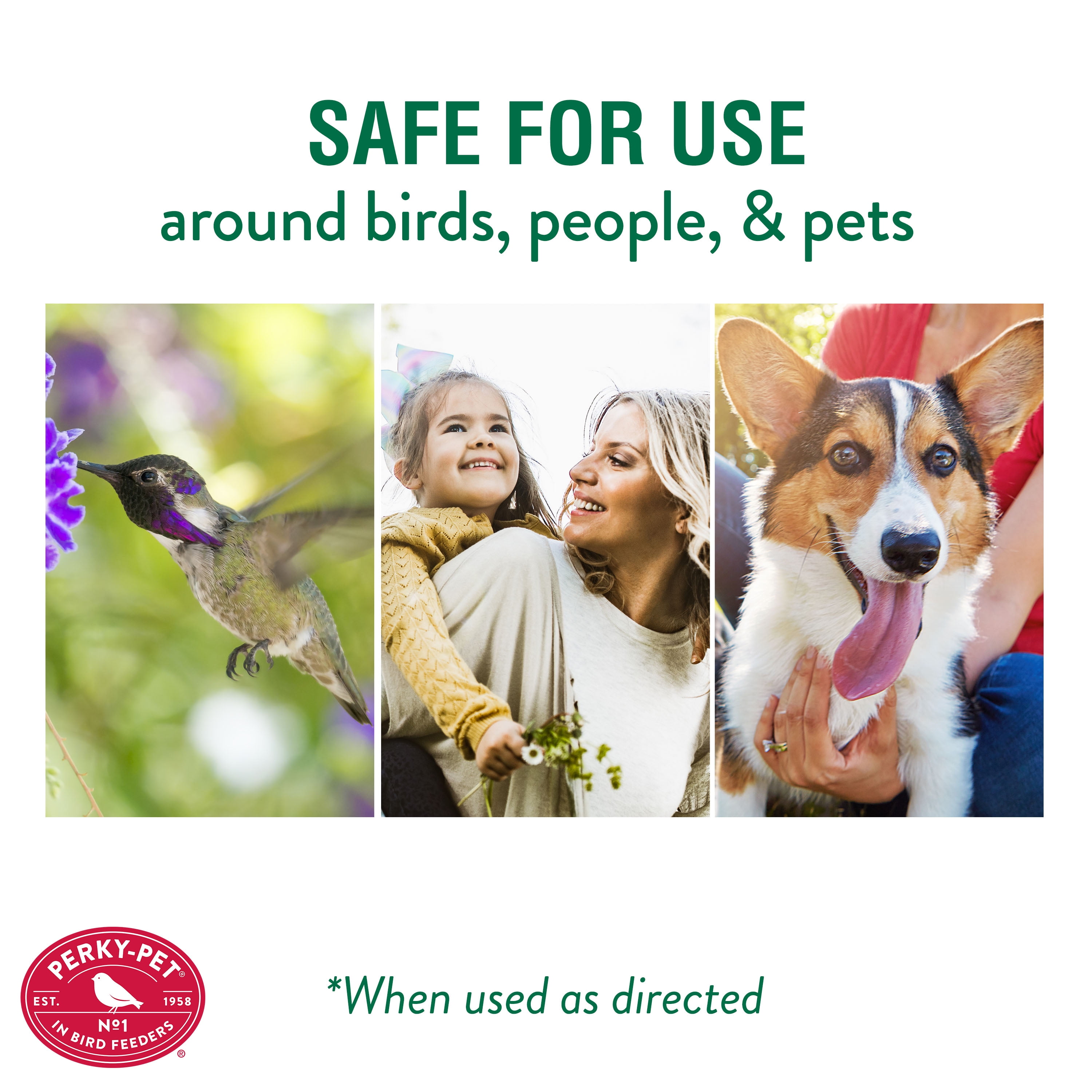 (2 pack) Perky-Pet Ant Guard Plus for Hummingbird Feeders, Red, Prevent Ants from Eating Nectar, 1 Pack