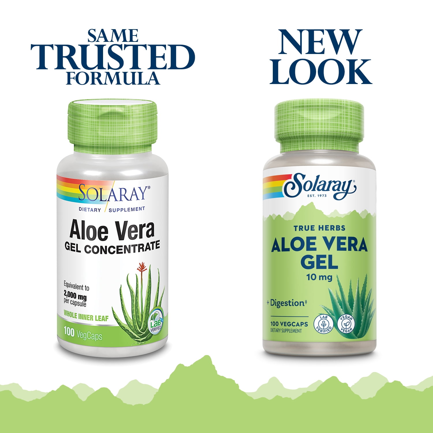 Solaray Aloe Vera Gel Concentrate | Equivalent to 2000 mg | Antioxidant  Activity & Healthy Digestion & Skin Support | Non-GMO & Vegan | 100 VegCaps