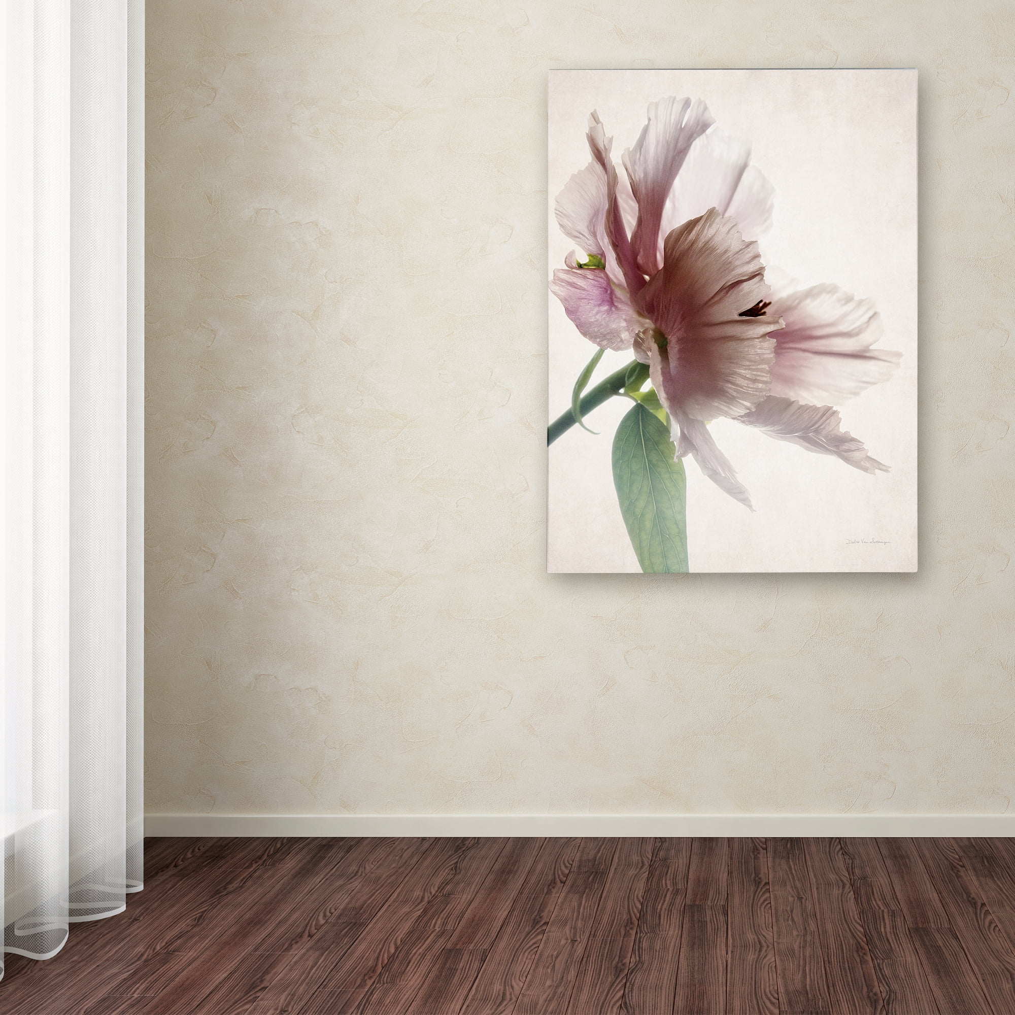 Trademark Fine Art 'Translucent Peony II' Canvas Art by Debra Van Swearingen
