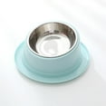 Kitty Bowl With Non Spill Edge Raised Dog For Cat Feeder Food Water
