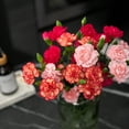 thumbnail image 6 of Mini Carnation Flower Bunch Small, Colors May Vary, 6 of 8